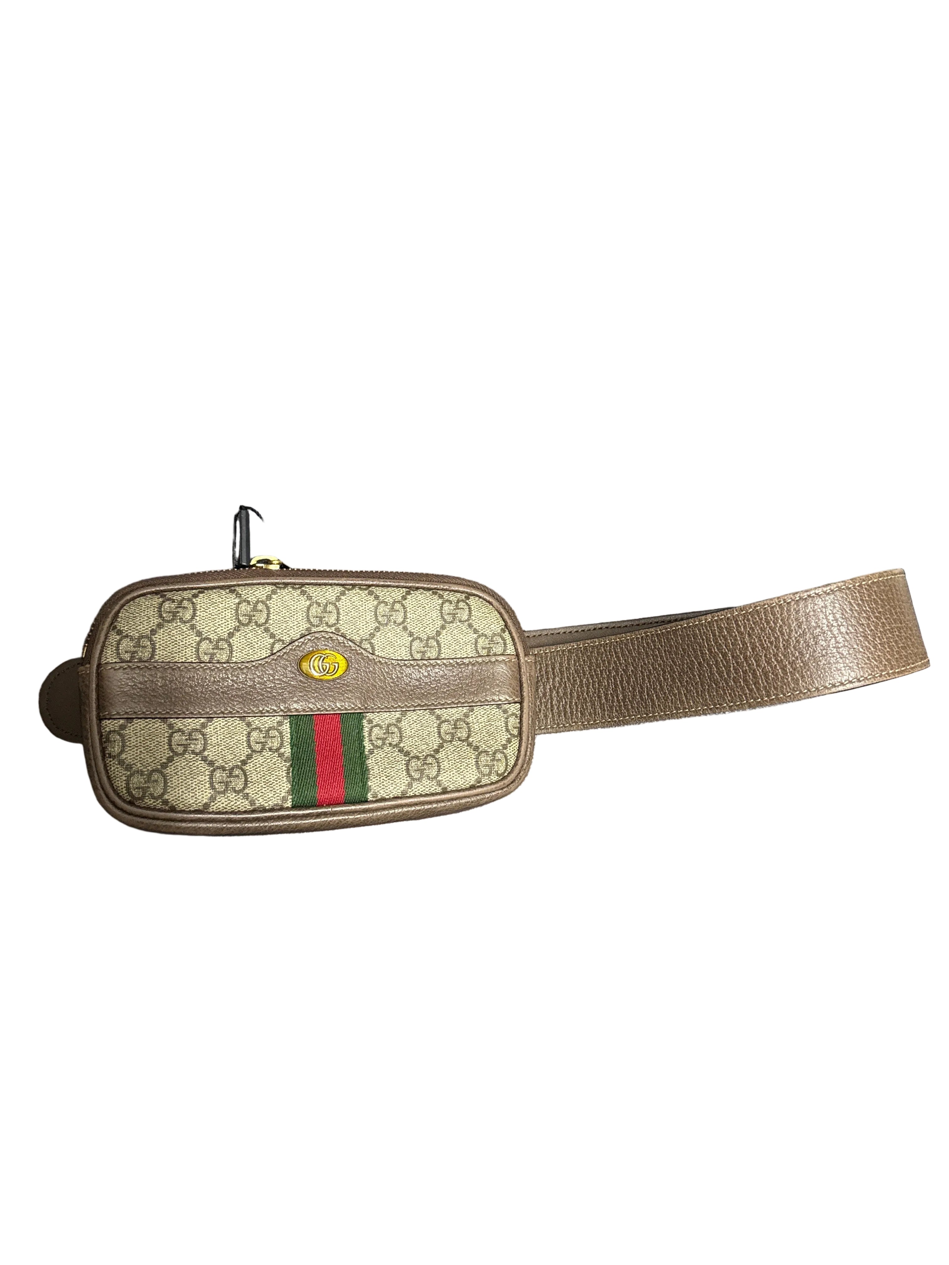 Gucci ophidia bel bag
