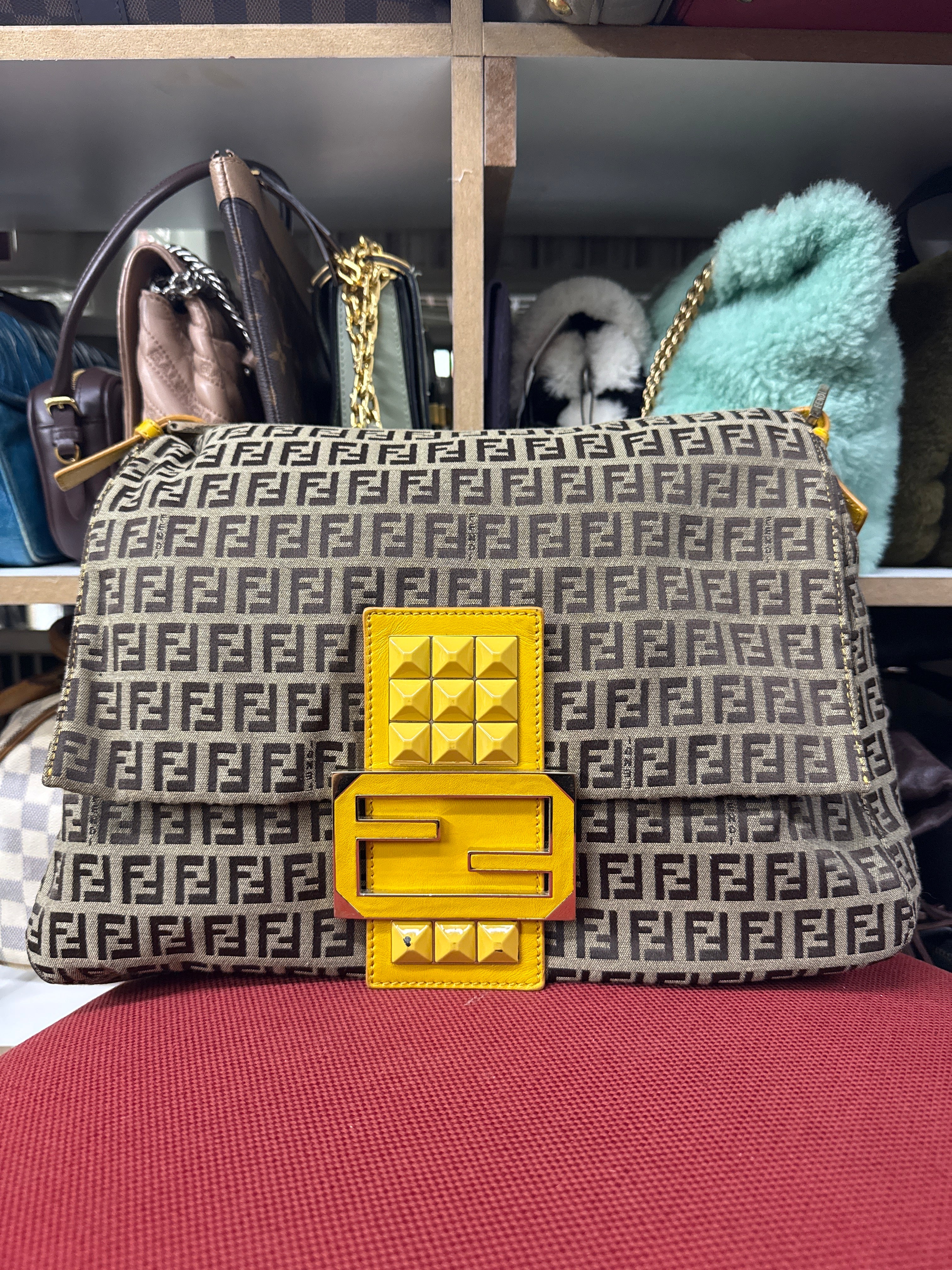 Fendi lona