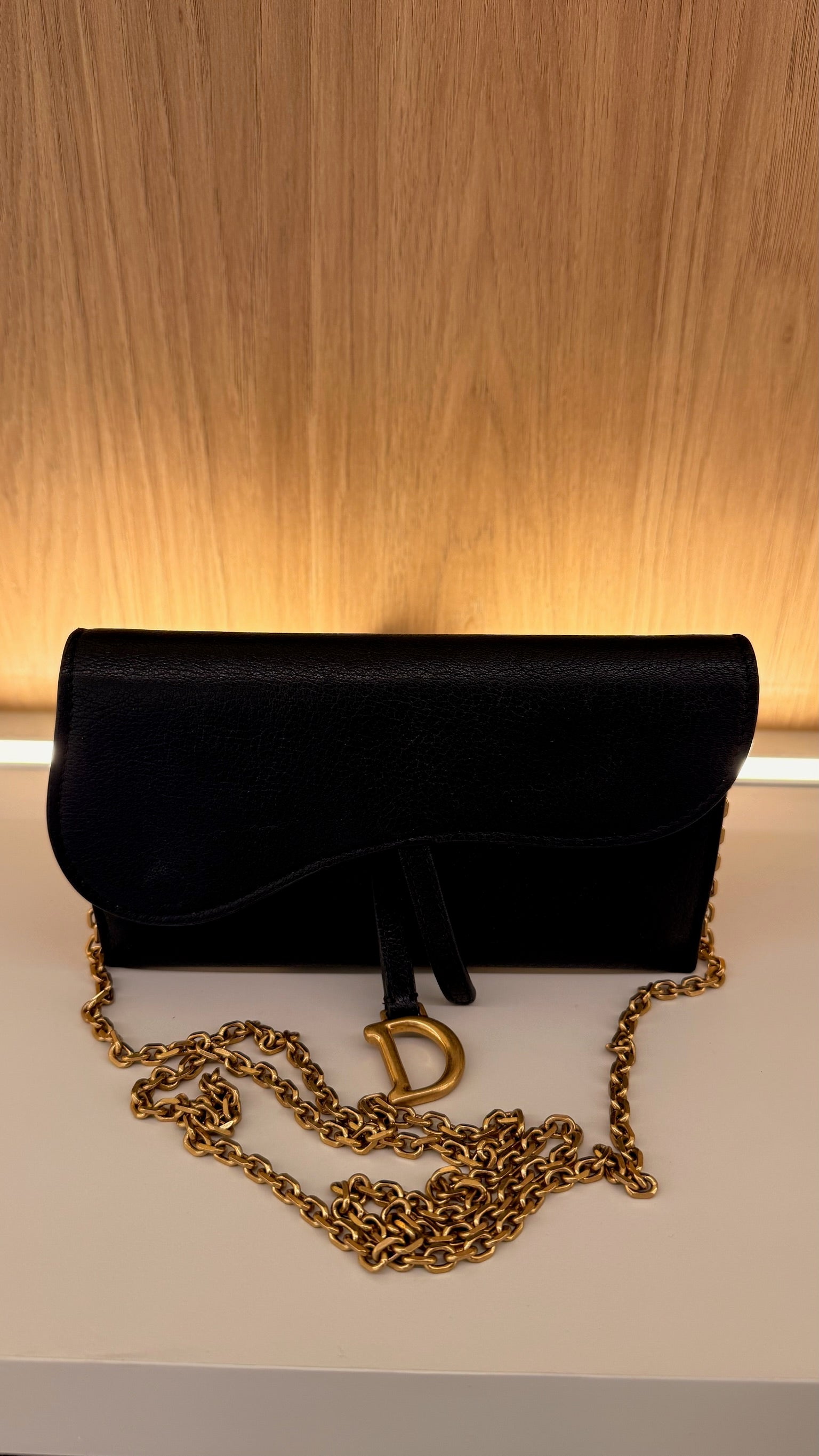 Dior Mine Daddle