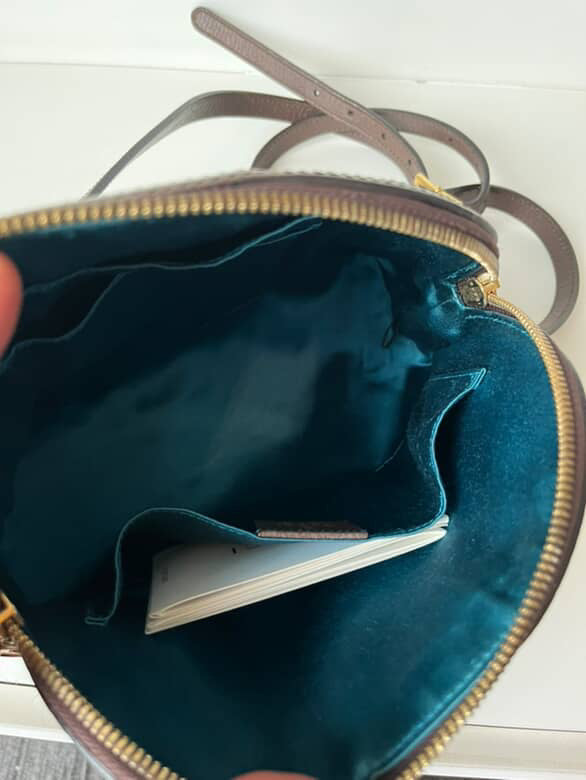 Gucci GG OPHIDIA DOME